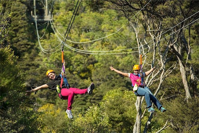 Waiheke Island: Zipline And Forest Walk - Should You Book the Waiheke Zipline and Forest Walk?