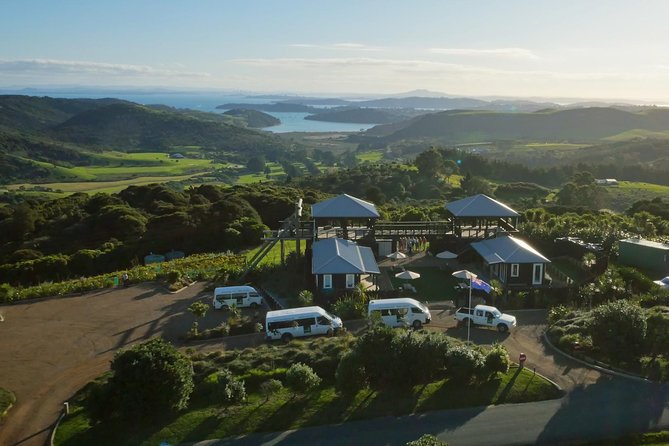 Waiheke Island: Zipline And Forest Walk - From Auckland to Trig Hill: How the Day Gets Moving