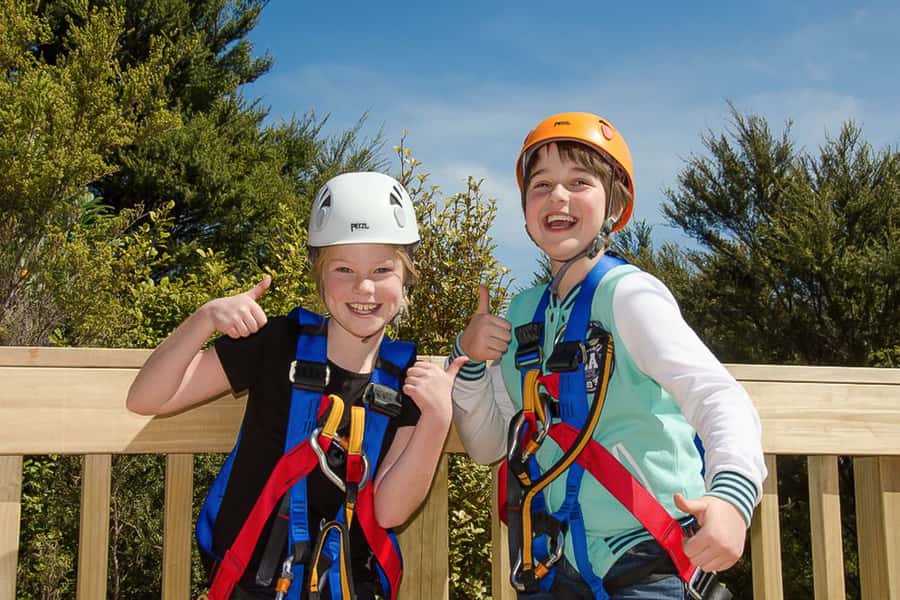 Waiheke Island: Zipline and Native Forest Adventure Trip - What you’ll see over the vineyard and native bush