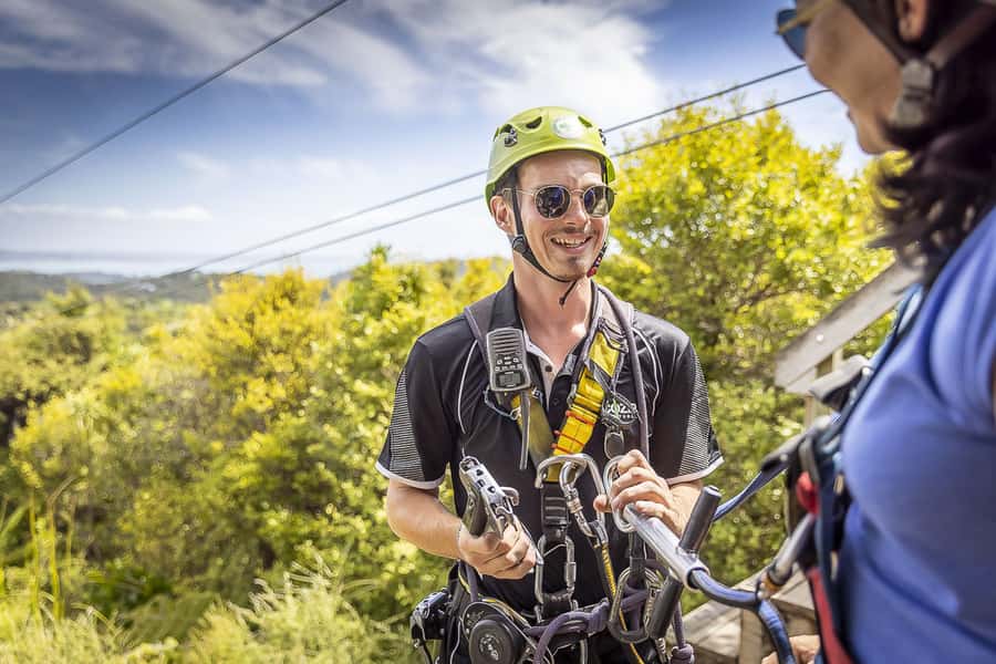 Waiheke Island: Zipline and Native Forest Adventure Trip - Safety and risk: how to think about this before you book