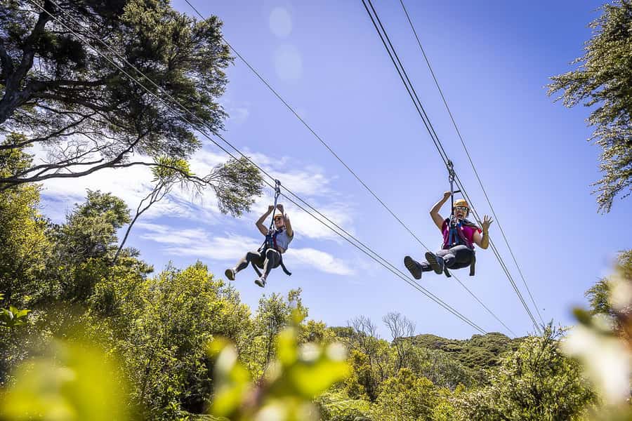 Waiheke Island: Zipline and Native Forest Adventure Trip - Before you zip: the mini-tour and what it adds