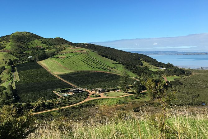 Waiheke Wine and Dine - Batch Winery - Who should book this tour