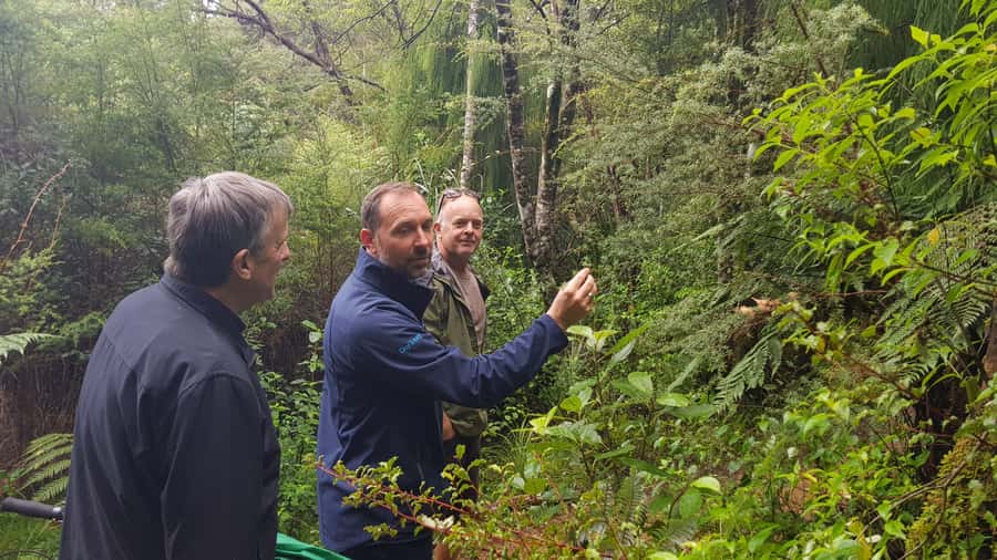 Waitakere Ranges Wilderness Experience Tour from Auckland - Key highlights to watch for
