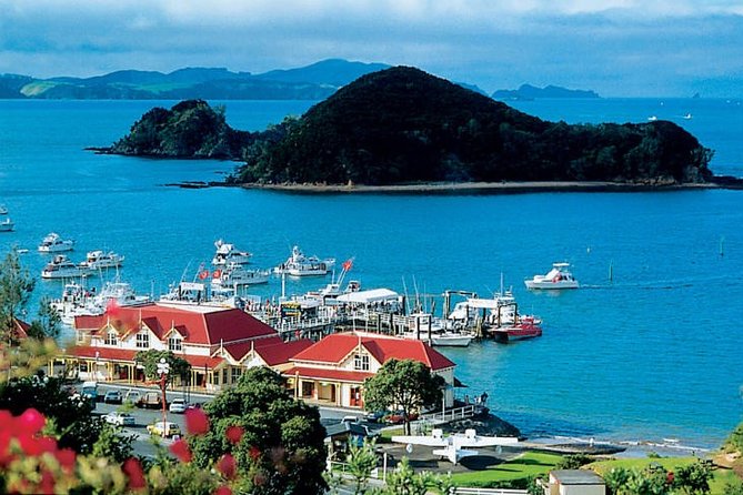 Waitangi Treaty Ground Day Trip Private Transport From Auckland - Key Highlights You Can Plan Around