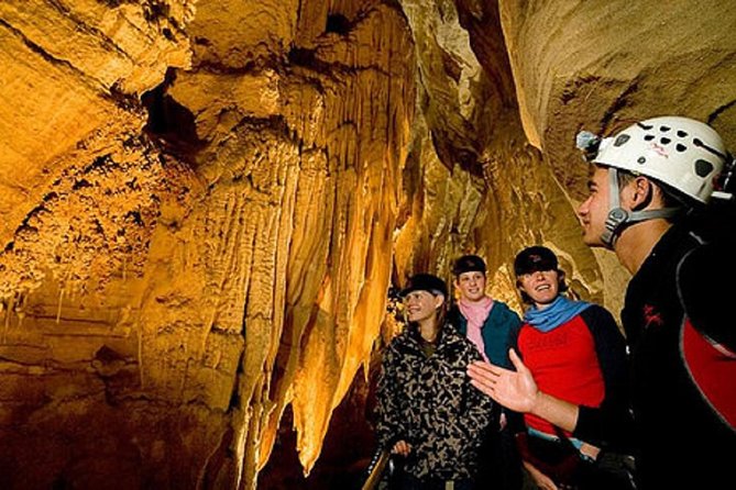 Waitomo Caves Private Driver for Tour - The scenic Auckland to Waitomo drive you actually have time for