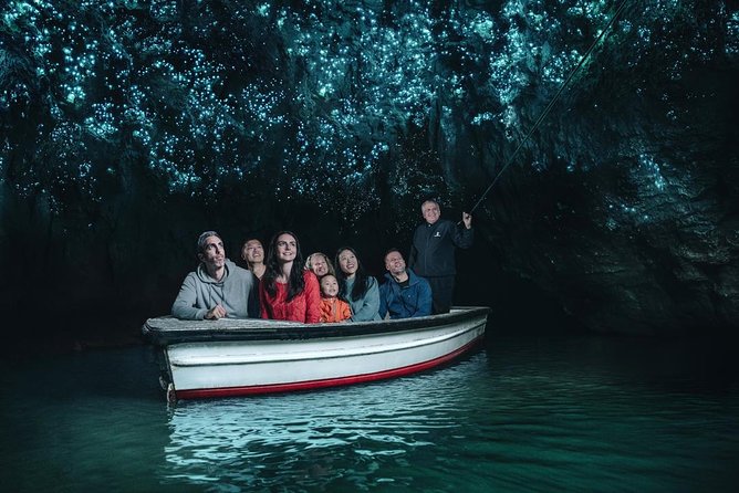 Waitomo Caves Private Driver for Tour - Should you book this private Waitomo Caves driver tour?
