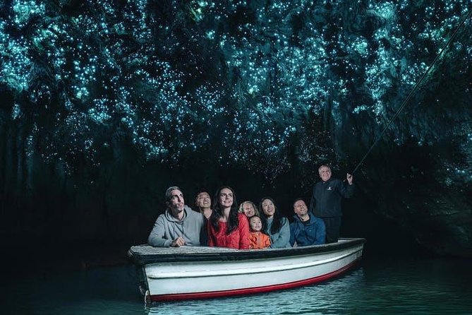 Waitomo Caves Private Tour from Auckland - Key highlights at a glance