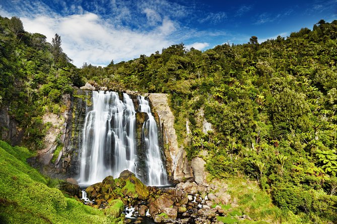 Waitomo Caves Private Tour from Auckland - The Flat-Bottom Boat Ride on the Waitomo River