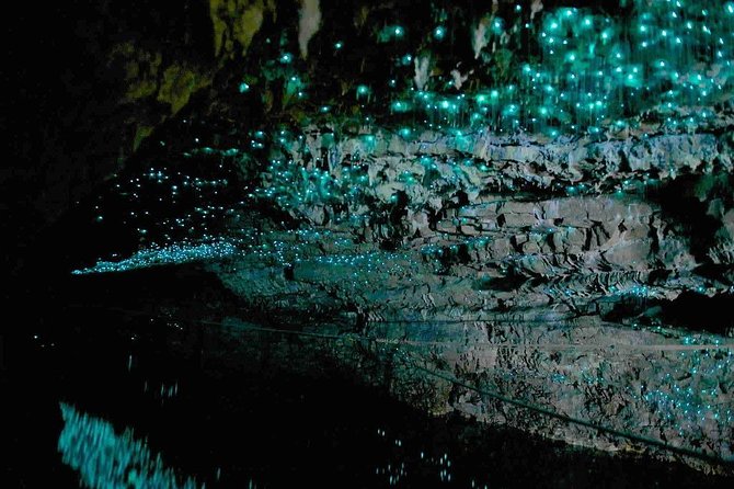 Waitomo Caves Private Tour from Auckland - Price and Value: Is $216.58 Per Person Worth It?