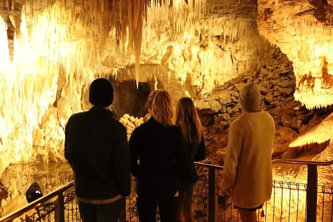 Waitomo Glow Worm Caves - What the guides get right, and why it changes the whole day