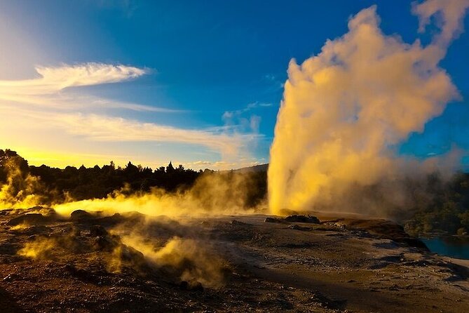 Waitomo Glow Worm Caves & Te Puia (Rotorua) Private Tour - Price and value: what you get for $588.92 per person