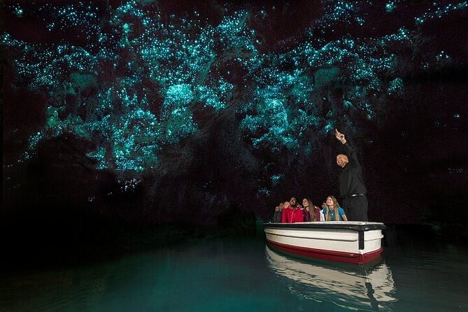 Waitomo Glow Worm Caves & Te Puia (Rotorua) Private Tour - Who should book, and who might want to choose a different plan