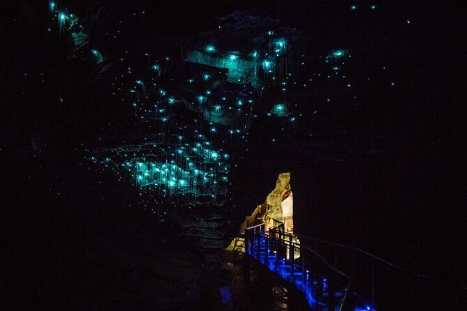Waitomo Glow Worm Caves - Waitomo Homestead break: gift shop time and a reset