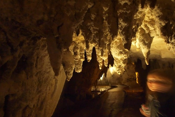 Waitomo Glowworm Caves In a Private Small Group Tour-Auckland. - Entering the Waitomo Glowworm Caves route: two levels, one show