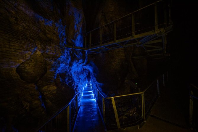 Waitomo Glowworm & Ruakuri Twin Cave Experience - Small Group Tour From Auckland - Waitomo Glowworm Caves Boat Ride: The Silent Part You Actually Feel