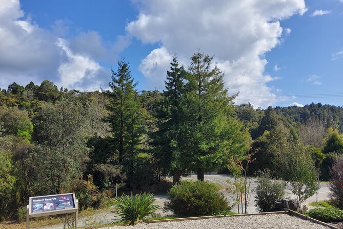 Waitomo Glowworm & Ruakuri Twin Cave Experience - Small Group Tour From Auckland - The Real Schedule: How 11 Hours Plans Out from Morning to Afternoon
