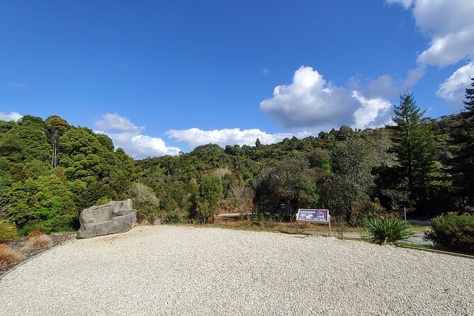 Waitomo Glowworm & Ruakuri Twin Cave Experience - Small Group Tour From Auckland - Ruakuri Cave’s Long Underground Walk, Cathedral Cave Acoustics, and Spiral Descent