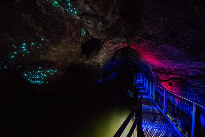 Waitomo Glowworm & Ruakuri Twin Cave - Private Tour From Auckland - From Auckland to the Waikato caves: how the day actually feels