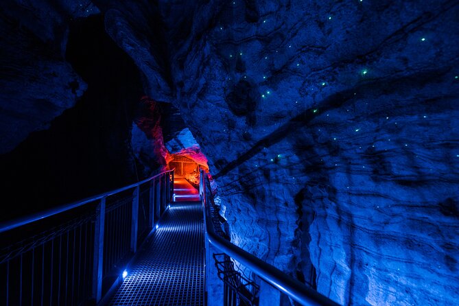 Waitomo Glowworm & Ruakuri Twin Cave - Private Tour From Auckland - Getting picked up: meeting point and first stops in Auckland and Waikato