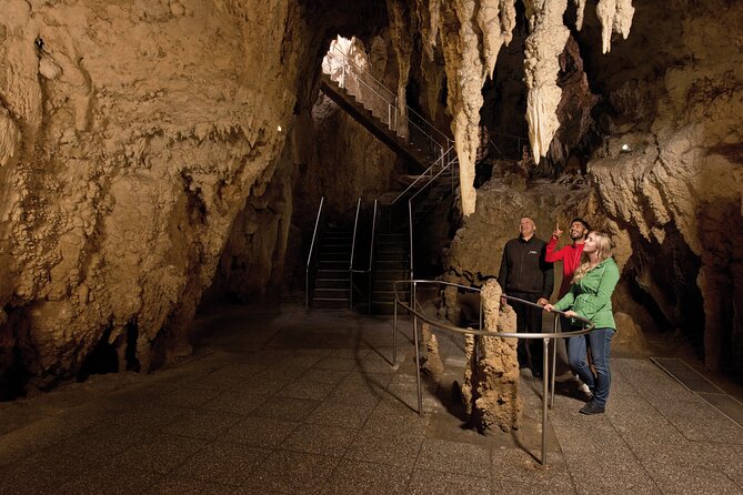 Waitomo Glowworm & Ruakuri Twin Cave Small Group Tour Ex-Auckland - Ruakuri Cave: longer underground walking, spiral entrance, big wow-factor