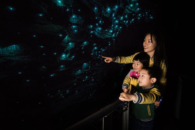 Waitomo Glowworm & Ruakuri Twin Cave Small Group Tour Ex-Auckland - The guide makes or breaks a cave day, and here that is a strength