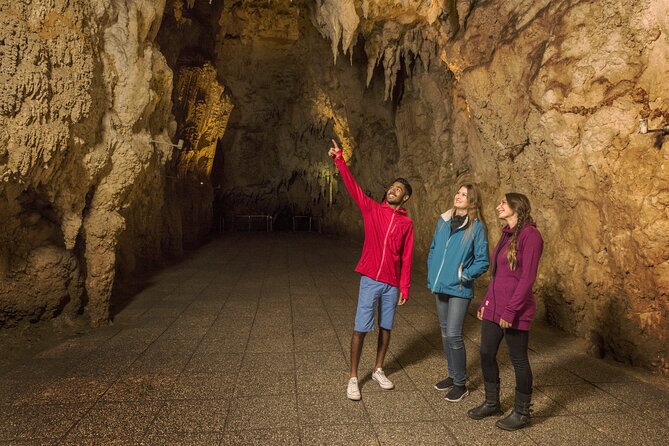 Waitomo Glowworm & Ruakuri Twin Cave Small Group Tour Ex-Auckland - Transportation and group size: what small-group really means here