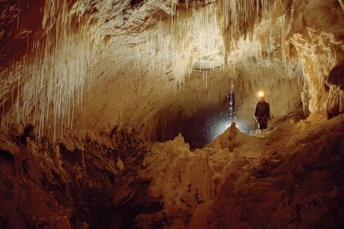 WAITOMO - Twin Caves Discovery - Private Day Tour from Auckland - A 6:00am start that makes the caves feel calmer
