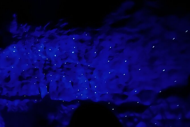 WAITOMO - Twin Caves Discovery - Private Day Tour from Auckland - Waitomo Glowworm Caves: boat ride under the ceiling lights