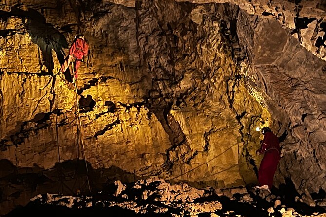 WAITOMO - Twin Caves Discovery - Private Day Tour from Auckland - Waitomo Homestead: a practical reset before Ruakuri