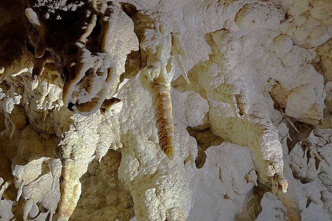 WAITOMO - Twin Caves Discovery - Private Day Tour from Auckland - Mercer and the Waikato River: a quick taste of New Zealand scale