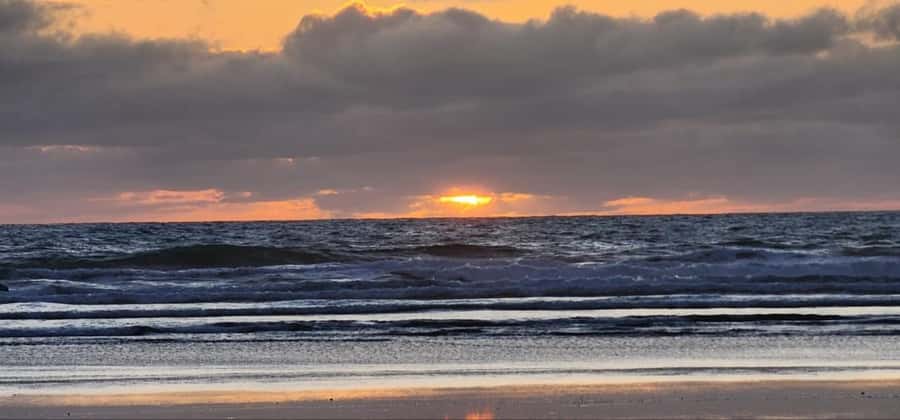 West Auckland: Sunset with Thermal pool & Wine Tasting - Muriwai Beach sunset: what you are really paying for