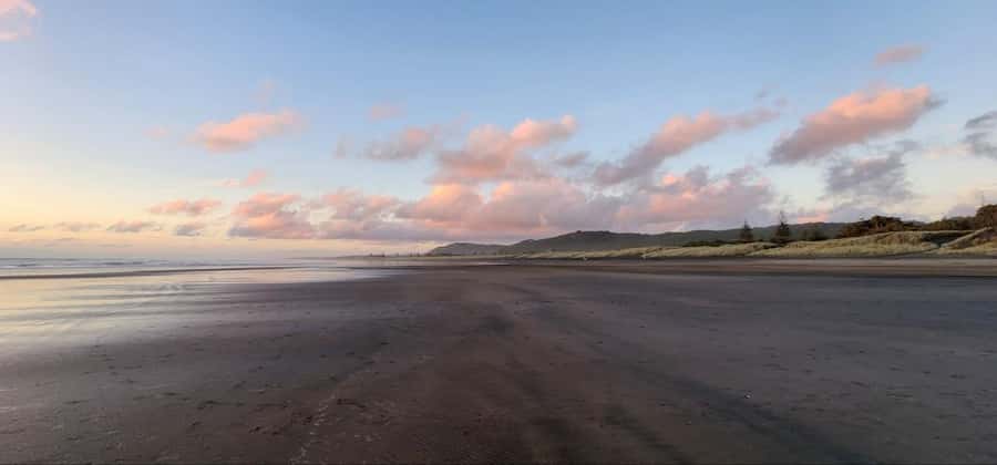West Auckland: Sunset with Thermal pool & Wine Tasting - Price and value: what $298 really buys you