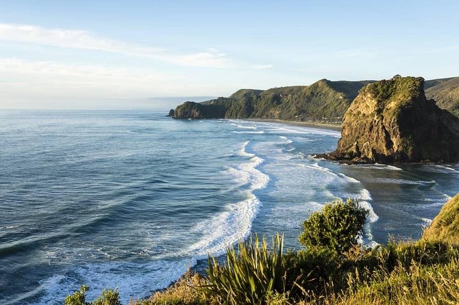 West Coast Discovery - Piha Beach or Muriwai Beach from Auckland - Key Highlights Worth Your Attention