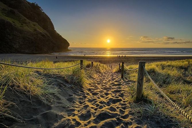 West Coast Discovery - Piha Beach or Muriwai Beach from Auckland - Why This Half-Day Feels Bigger Than It Is