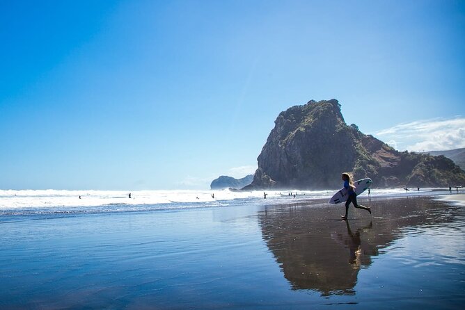 West Coast Discovery Piha Beach Private Tour - Price and value: is $351.80 per person fair?