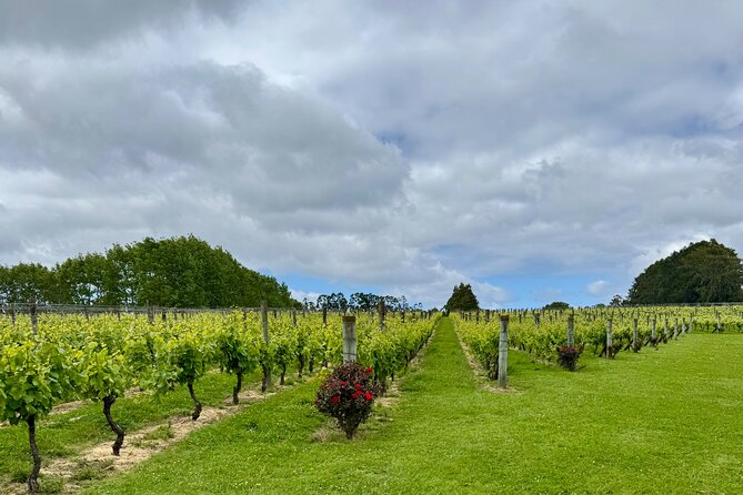 Wineries / Brewery - Hallertau Brewery: where NZ hops and a courtyard lunch take over